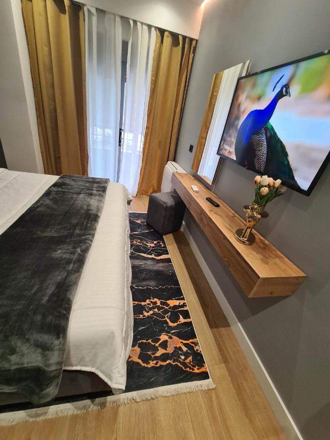 Grey Luxury Apartment Gjirokastër 外观 照片